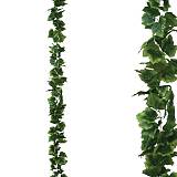 ΓΙΡΛΑΝΤΑ ΚΙΣΣΟΣ ΠΛΑΤΥΦΥΛΛΟΣ ΠΡΑΣΙΝΟ - Y270cm 1/96ΚΙΒ