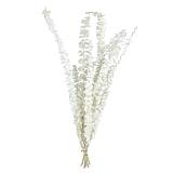 ΚΛΑΔΙ ΕΚΡΟΥ ΕΥΚΑΛΥΠΤΟΣ ΑΠΟΞΗΡΑΜΕΝΟ 10~11 ΤΜΧ/ΜΑΤΣΟ Υ50~60cm, Υ40~50cm ΤΟ ΑΝΘΟΣ - 120/ΚΙΒ