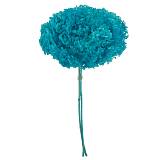 ΚΛΑΔΙ KYANO ΟΡΤΑΝΣΙΑ ΑΠΟΞΗΡΑΜΕΝΟ 1~2TMX/ΜΑΤΣΟ Φ25~27 x Y50~60cm, 42~52cm ΤΟ ΑΝΘΟΣ 30/ΚΙΒ