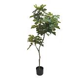 ΔΕΝΤΡΟ ΣΥΚΙΑ ΠΡΑΣΙΝΟ REAL TOUCH ΣΕ ΚΑΣΠΩ - Υ195cm 2/KIB