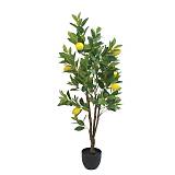 ΔΕΝΤΡΟ ΛΕΜΟΝΙΑ ΠΡΑΣΙΝΟ/ΚΙΤΡΙΝΟ REAL TOUCH ΣΕ ΚΑΣΠΩ - Y120cm 2/KIB