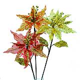 ΧΡΙΣΤΟΥΓ. ΚΛΑΔΙ ΑΛΕΞΑΝΔΡΙΝΟ ΑΣΣ Υ70cm. 12/96KIB