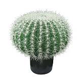 ΤΕΧΝΗΤΟΣ ΚΑΚΤΟΣ ΜΠΑΛΑ-ΕΧΙΝΟΚΑΚΤΟΣ ΣΕ ΓΛΑΣΤΡΑ - Υ55cm 2/ΚΙΒ