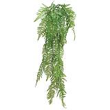 ΡΙΖΑ ΚΡΕΜΑΣΤΗ ΦΤΕΡΗ ΠΡΑΣΙΝΟ - Υ120cm 30/120ΚΙΒ