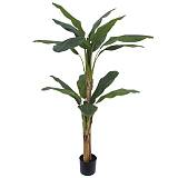 ΔΕΝΤΡΟ ΜΠΑΝΑΝΙΑ ΔΙΠΛΗ REAL TOUCH ΣΕ ΓΛΑΣΤΡΑ - Υ190cm 2/ΚΙΒ