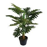 ΔΕΝΤΡΟ ΦΥΛΛΟΔΕΝΤΡΟ REAL TOUCH ΣΕ ΓΛΑΣΤΡΑ - Y80cm 4/KIB