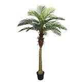 ΔΕΝΤΡΟ ΦΟΙΝΙΚΑΣ ΑΡΕΚΑ REAL TOUCH ΣΕ ΓΛΑΣΤΡΑ - Υ210cm 2/ΚΙΒ