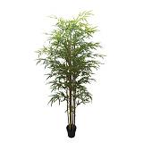 ΔΕΝΤΡΟ ΜΠΑΜΠΟΥ REAL TOUCH ΣΕ ΓΛΑΣΤΡΑ Y180cm 2/ΚΙΒ