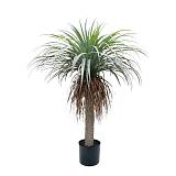 ΔΕΝΤΡΟ ΓΙΟΥΚΑ ΠΡΑΣΙΝΟ/ΚΑΦΕ ΣΕ ΚΑΣΠΩ - Υ105cm 1/2ΚΙΒ