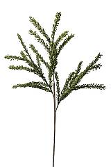 ΒΑΣΗ ΠΡΑΣΙΝΗ ΚΑΡΠΟΙ