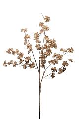 ΚΛΑΔΙ ΛΟΥΛΟΥΔΑΚΙΑ ΚΑΦΕ