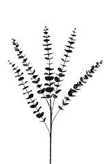 ΚΛΑΔΙ ΜΕ ΦΥΛΛΑ ΜΑΥΡΟ 82ΕΚ