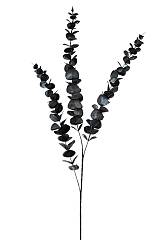 ΚΛΑΔΙ ΜΕ ΦΥΛΛΑ ΜΑΥΡΟ 110ΕΚ