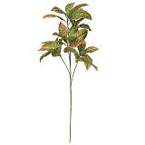 ΚΛΑΔΙ ΚΡΟΤΩΝΑΣ ΠΡΑΣΙΝΟ/ΚΙΤΡΙΝΟ - Υ90cm 12/120ΚΙΒ