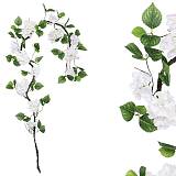 ΓΙΡΛΑΝΤΑ ΛΕΥΚΗ ΟΡΤΑΝΣΙΑ X18 ΑΝΘΗ - Υ240cm 120/ΚΙΒ