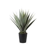 AGAVE ΦΥΤΟ ΤΕΧΝΗΤΟ ΣΕ ΓΛΑΣΤΡΑ PVC ΤΣΙΜΕΝΤΟ ΠΡΑΣΙΝΟ ΜΑΥΡΟ 58