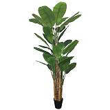 ΔΕΝΤΡΟ REAL TOUCH ΜΠΑΝΑΝΙΑ ΣΕ ΚΑΣΠΩ - Y300cm 2/KIB