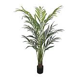 ΔΕΝΤΡΟ REAL TOUCH ΦΟΙΝΙΚΑΣ ΣΕ ΚΑΣΠΩ - Y190cm 4/KIB