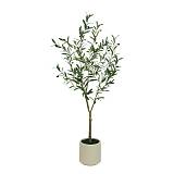 ΔΕΝΤΡΟ ΕΛΙΑ ΠΡΑΣΙΝΟ ΣΕ ΚΑΣΠΩ - Y150cm 1/KIB