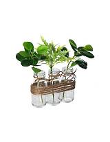 Βάζο σωλήνας Χ3 με πρασινάδα