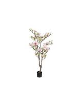 Μανόλια λευκή-ροζ σε κασπώ 80xΗ150cm