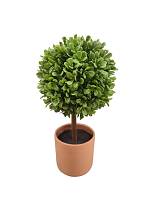 Πρασινάδα μπάλα σε κερμ.κασπώ 25εκ