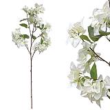 ΚΛΑΔΙ ΒΟΥΚΑΜΒΙΛΙΑΣ ΛΕΥΚΟ - Υ108cm 24/144KIB