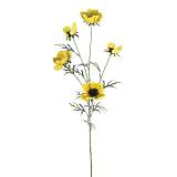 ΚΛΑΔΙ ΑΝΕΜΩΝΗ ΚΙΤΡΙΝΟ - 24/120KIB