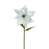 ΚΛΑΔΙ ΑΛΕΞΑΝΔΡΙΝΟ ΓΙΓΑΣ ΑΣΗΜΙ ΒΕΛΟΥΔO - L: Φ32x105cm 12/24KIB