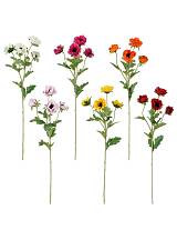 Ανεμώνα κλαδί 6χρώματα Η62cm