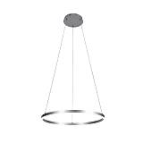 Inlight Κρεμαστό φωτιστικό LED 45W 3CCT (by switch on base) D:100cm (6095-AA-Silver)