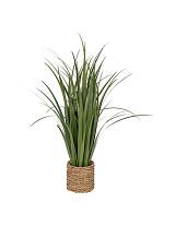 Πρασινάδα σε ψάθινο κασπώ 70x91 cm