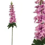 ΚΛΑΔΙ ΔΕΛΦΙΝΙΟ ΦΟΥΞ REAL TOUCH - Y80cm 24/240ΚΙΒ