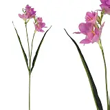 ΚΛΑΔΙ ΦΡΕΖΙΑ ΦΟΥΞ REAL TOUCH ΜΕ 2 ΚΛΑΔΙΑ ~ 5 ΛΟΥΛΟΥΔΙΑ - Y65cm 36/432ΚΙΒ