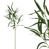 ΚΛΑΔΙ ΕΛΙΑΣ ΑΝΟΙΧΤΟ ΠΡΑΣΙΝΟ REAL TOUCH ΜΕ 6 ΣΤΕΛΕΧΗ - Υ94cm 24/432ΚΙΒ