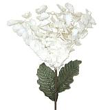 ΚΛΑΔΙ ΜΕ ΛΟΥΛΟΥΔΙΑ ΛΕΥΚΑ