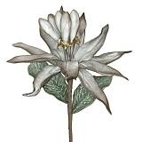 ΛΟΥΛΟΥΔΙ ΓΚΡΙ-ΚΑΦΕ