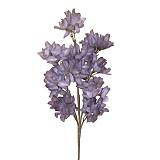 ΚΛΑΔΙ ΜΕ ΛΟΥΛΟΥΔΙΑ ΜΩΒ