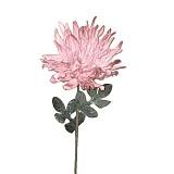 ΛΟΥΛΟΥΔΙ ΡΟΖ