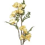 ΚΛΑΔΙ ΜΕ ΛΟΥΛΟΥΔΙΑ ΜΠΕΖ