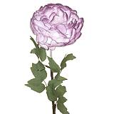 ΛΟΥΛΟΥΔΙ ΜΩΒ ΛΙΛΑ