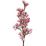 ΚΛΑΔΙ ΜΕ ΛΟΥΛΟΥΔΙΑ ΡΟΖ