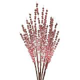 ΚΛΑΔΙ ΜΠΟΡΝΤΩ-ΡΟΖ