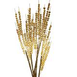 ΚΛΑΔΙ ΜΠΕΖ-ΚΑΦΕ