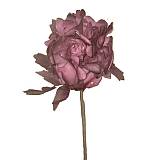 ΛΟΥΛΟΥΔΙ ΜΠΟΡΝΤΩ