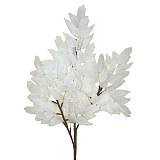 ΚΛΑΔΙ ΜΕ ΦΥΛΛΑ ΛΕΥΚΑ