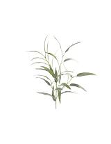 Γρασίδι κλαδί 105εκ.