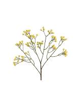 Gypsophilia κίτρινη 61εκ.