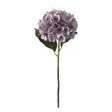 ΚΛΑΔΙ ΟΡΤΑΝΣΙΑΣ ΛΙΛΑ REAL TOUCH ΜΕ 2 ΦΥΛΛΑ - Φ22.5x55cm 24/240ΚΙΒ