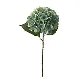 ΚΛΑΔΙ ΟΡΤΑΝΣΙΑΣ ΠΡΑΣΙΝΟ REAL TOUCH ΜΕ 2 ΦΥΛΛΑ - Φ22.5x55cm 24/240ΚΙΒ